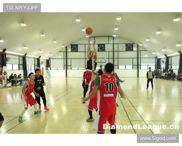 南京排球队在钻石联赛中的状态分析与表现评估