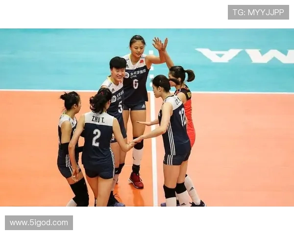 南京排球队速度对比独家深度解析及战术影响探讨