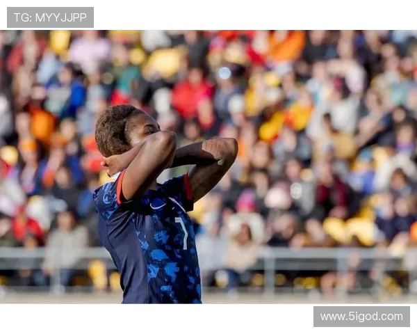 南京足球队在世界杯预选赛中的耐力与拼搏精神全面解析