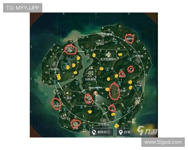 和平精英V5赛季进攻策略全面解析与战术运用探讨