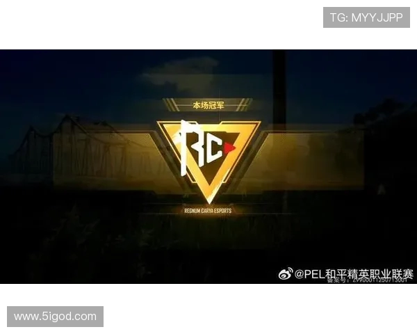 和平精英赛事最新经验分享TOP10IG战队表现突出引领潮流