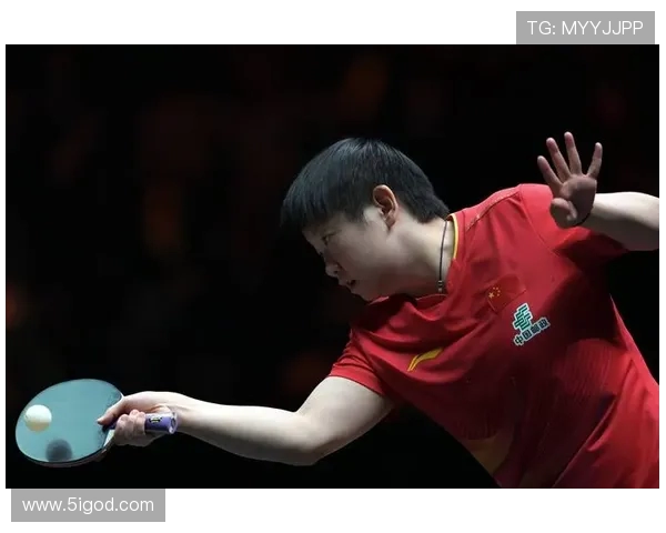 杭州乒乓球队在大满贯赛事中的耐力表现分析与点评