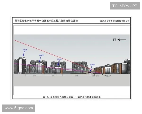 杭州飞盘队快攻战术分析与比赛表现评估