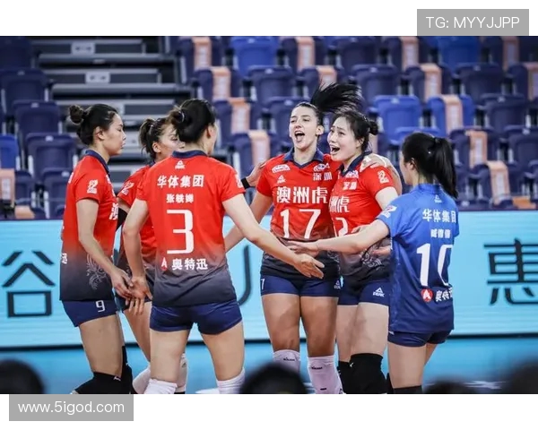 深圳排球队的逆袭之路：从默默无闻到全国瞩目的排球传奇
