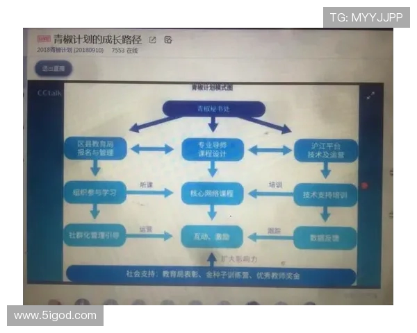 深圳乒乓球队的成长之路：一段激情与奋斗交织的纪实故事