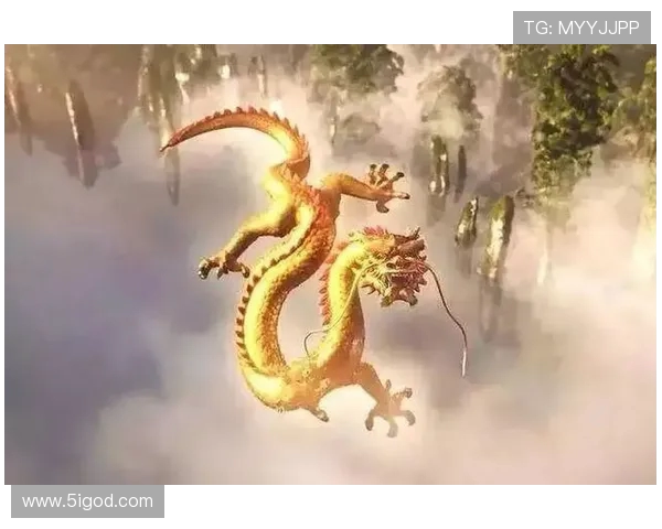 弗格的传奇人生与不屈精神探秘之旅