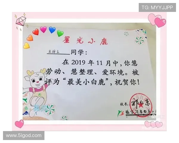 张昊的成长之路：从平凡少年到卓越人才的奋斗历程与人生启示