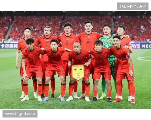 成都足球队在世界杯预选赛中的拼搏历程与荣耀之路