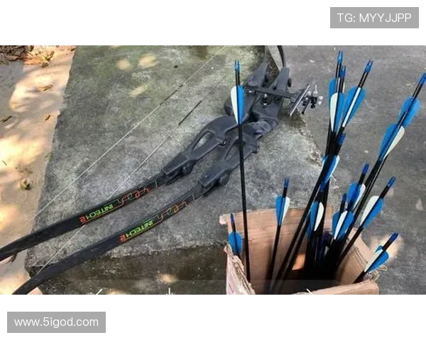 武汉攀岩队战术对比深度解析与未来发展趋势探讨 武汉攀岩队战术对比深度解析与未来发展趋势探讨