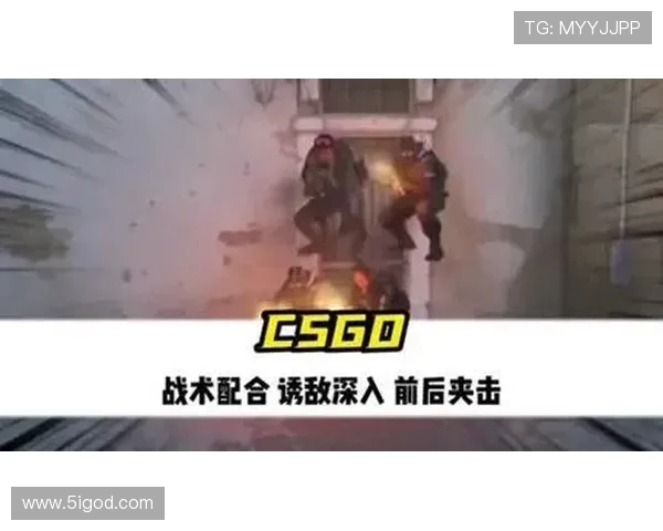 深入分析BLG在CSGO中的战术布局与团队协作策略