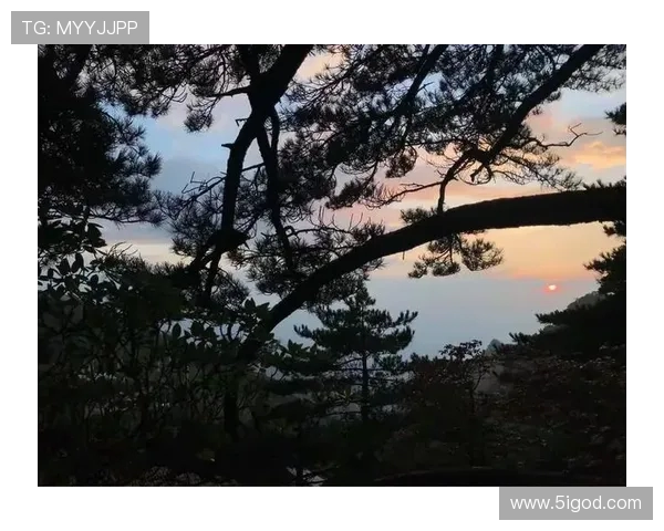 刘磊亲述攀岩技巧与心得体会助你轻松征服高峰之路