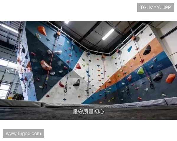 南京攀岩队中路突破之路:探索攀岩运动的新趋势与挑战