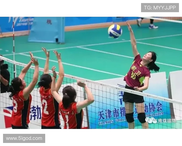 成都排球队的训练与比赛状态全景揭秘，展现排球运动的魅力与团队精神